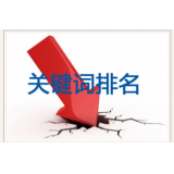 河源网站关键词排名下降原因有哪些